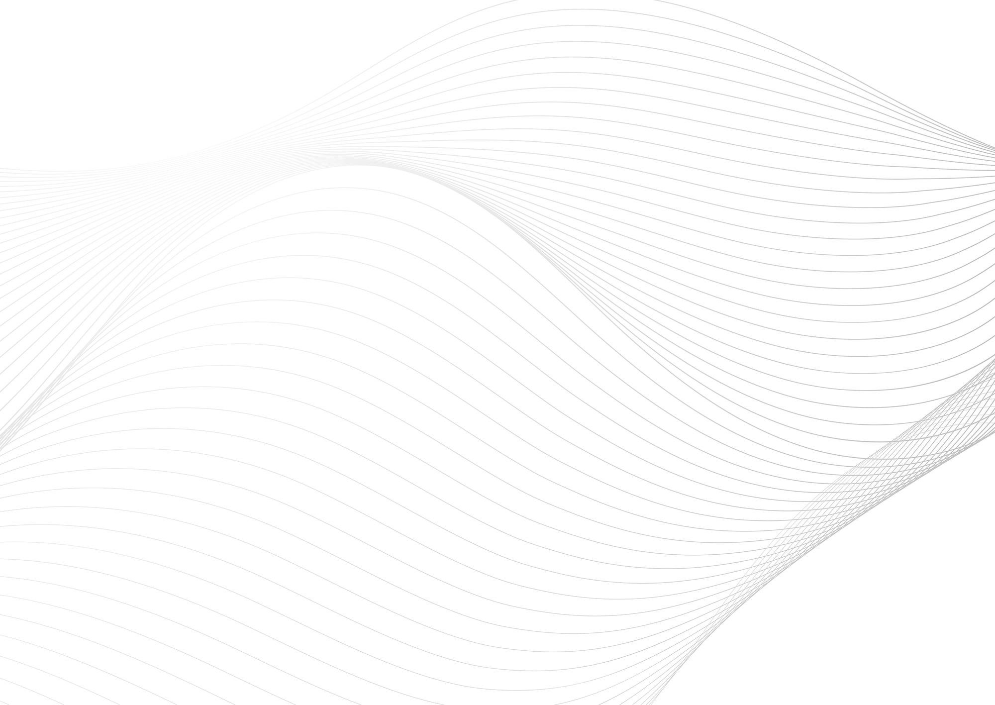 Web Site Tasarımcısı, Orta