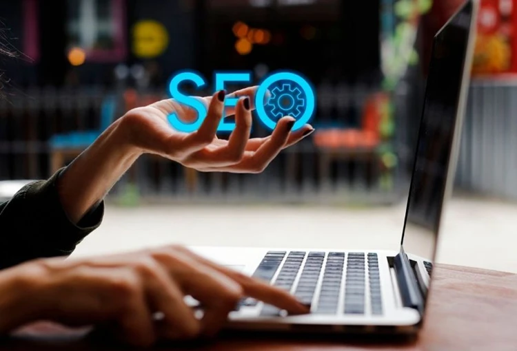 Orta Web Site Tasarımcı