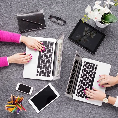 Orta Web Tasarımcı